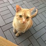 Claudia Graham Nesbitt - @claudia.nesbitt.5 - Instagram
