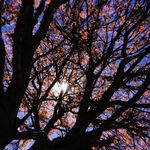 🧞‍♀️Claudia O’Donnell🧞‍♀️ - @beautybyclaudii_ - Instagram