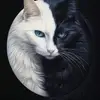 Claudia Olvera - @claudia.olvera19 - TikTok