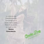 Claudia Paez - @claudia.paez.11981 - Instagram