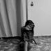 Claudia Paz Lazo - Facebook