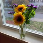 Claudia Piper - @bariising_healthfully_yours - Instagram