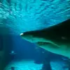 Luki_321 - @claudiapoller - TikTok