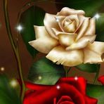 Claudia Pop - Facebook