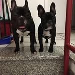Claudia Roth - @claudi1969_ - Instagram