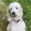 Claudia Schweitzer - @user2394869350640 - TikTok