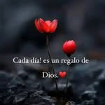 Claudia Sequeira - @claudia.sequeira.3194 - Instagram