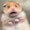 Claudia - @geekinthesheets - TikTok