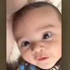 Claudia Shields - @claudia.shields - TikTok