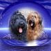 Claudia Siebert - Facebook