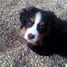 Claudia Siegert - Facebook