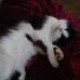 Claudia Slaughter - Facebook