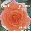 claudiasmartgirl - @claudiasmartgirl - TikTok