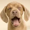 Claudia Stolle - @claudia.stolle - TikTok
