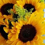 Claudia LaDow Sweeney - @jrswife74 - Instagram