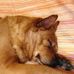 Claudia Trotto - Facebook