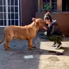 claudiatrottaeclipse - @claudiatrottabeloved - TikTok