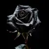 Claudia True588 - @claudia_true - TikTok
