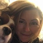 Claudia Wright - @cavalier_charlie16 - Instagram