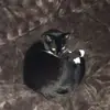 claudinemitchell1 - @claudinemitchell1 - TikTok