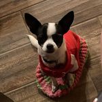 Claudine Morin - @claudine.morin.58 - Instagram