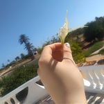 Claudine Morin - @coco_mino_ - Instagram