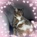 Claudine Morrison - Facebook
