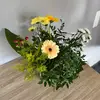 Claudine Pittemans - @claudinepittemans - TikTok