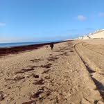 Claudine D'Aversa Simon - @claudine.simon.585 - Instagram
