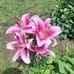 Claudine Thomas - Facebook