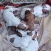 Claudine Thomas - @claudine.thomas - TikTok