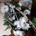 Claudine Thomas - Facebook