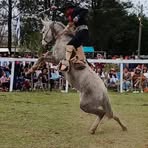 Claudio Acevedo - Facebook