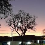 Claudio Borges - Facebook