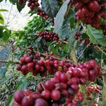 Claudio Esquivel - @claudio.esquivel.549 - Instagram