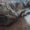 claudio heredia - @claudio.herediajavier - TikTok