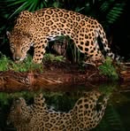 Claudio Heredia Huamani - Facebook