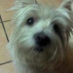 Claudio Innocenti - @claudio.innocenti.906 - Instagram
