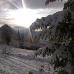 Claudio Innocenti - @claudioinno - Instagram