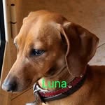 Claudio Lanza - @claudio.lanza.142 - Instagram