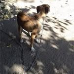 Claudio Lara - @claudio.lara.3705 - Instagram