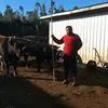 Claudio Lazo - @claudio.lazo7 - TikTok