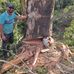 Claudio Leal - Facebook