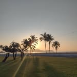 Claudio Leal - @claudio.leal - Instagram