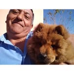 Claudio Lemos - @claudiolemos54 - Instagram