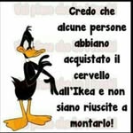 Claudio Manzi - @claudio.manzi.942 - Instagram