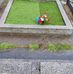 Claudio Mella - Facebook