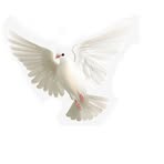 Claudio Melo - Facebook