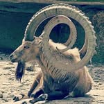 ClaudioPyZ - @claudio.mesala - Instagram
