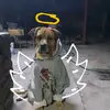 Claudio Ochoa - @claudioochoap - TikTok